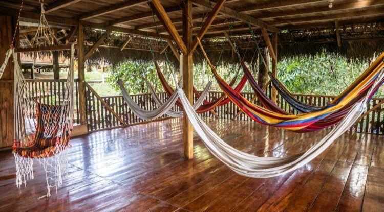 Caiman Lodge - Cuyabeno Nature Amazon Tour 외부 사진