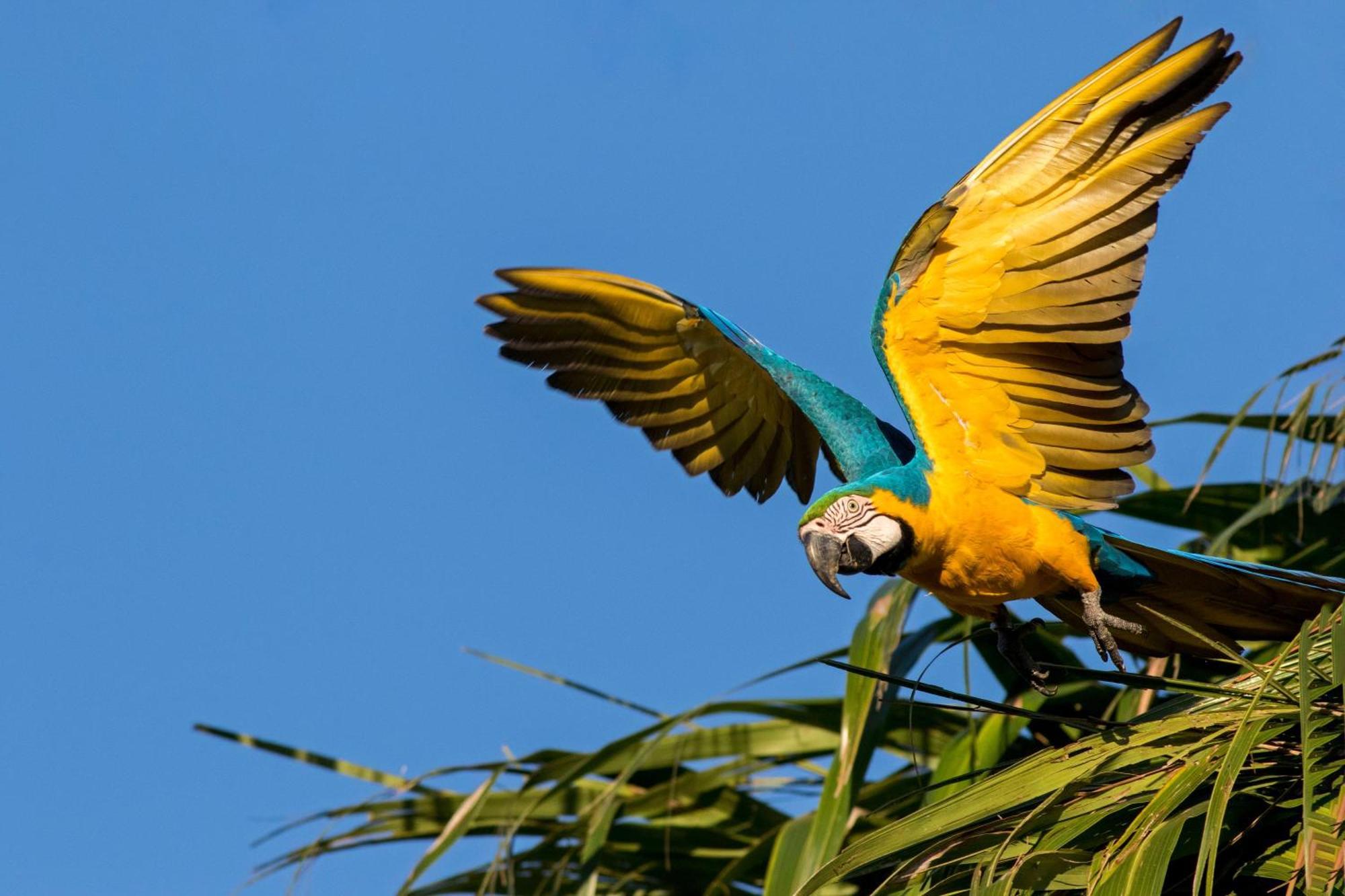 Caiman Lodge - Cuyabeno Nature Amazon Tour 외부 사진