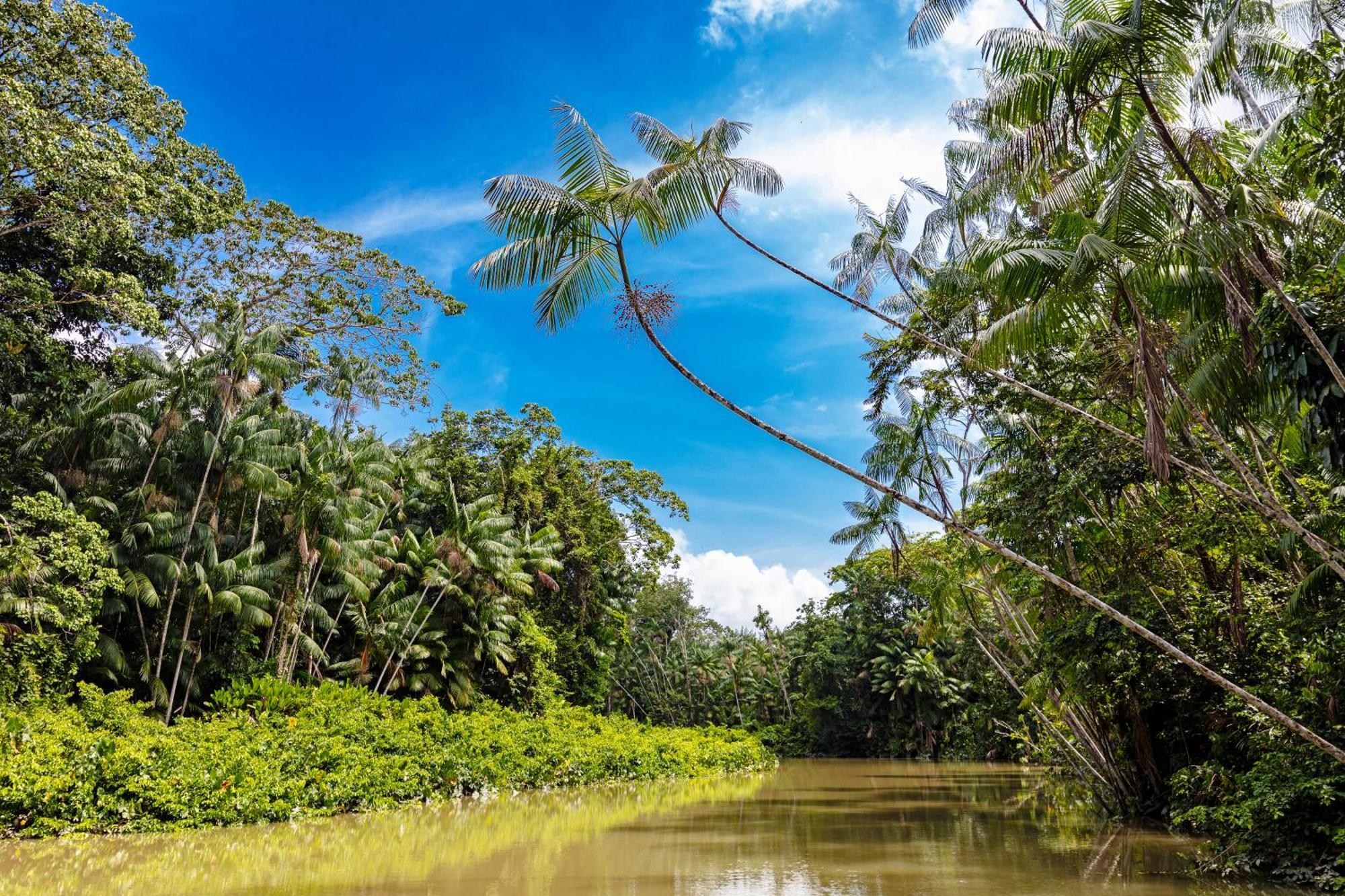 Caiman Lodge - Cuyabeno Nature Amazon Tour 외부 사진